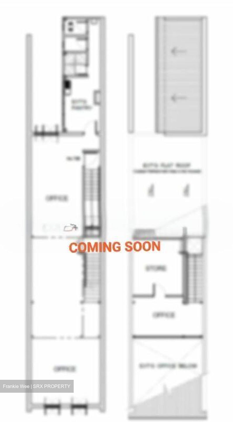 China Street (D1), Shop House #499149081